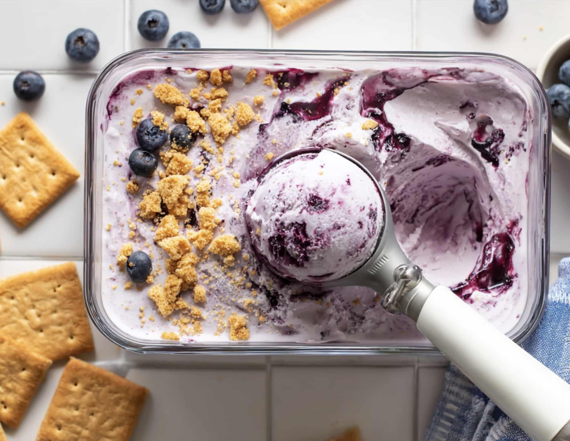Scooped Blueberry Cheesecake Cottage Cheese Ice Cream with Toppings